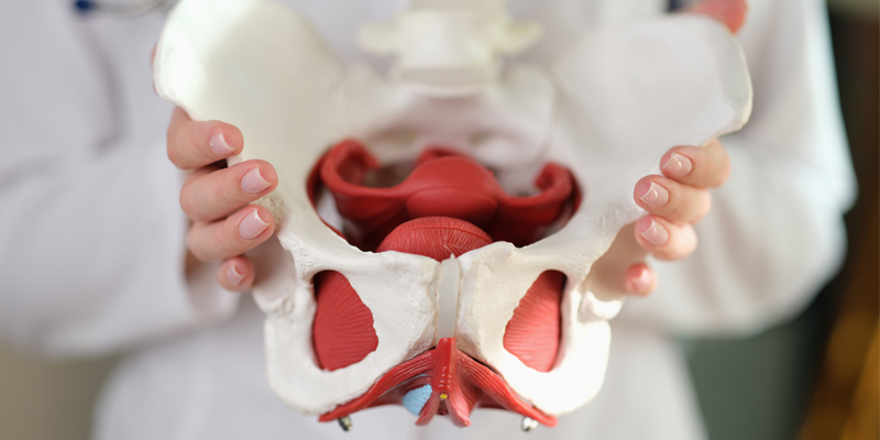 Basiskurs Kolposkopie 2026